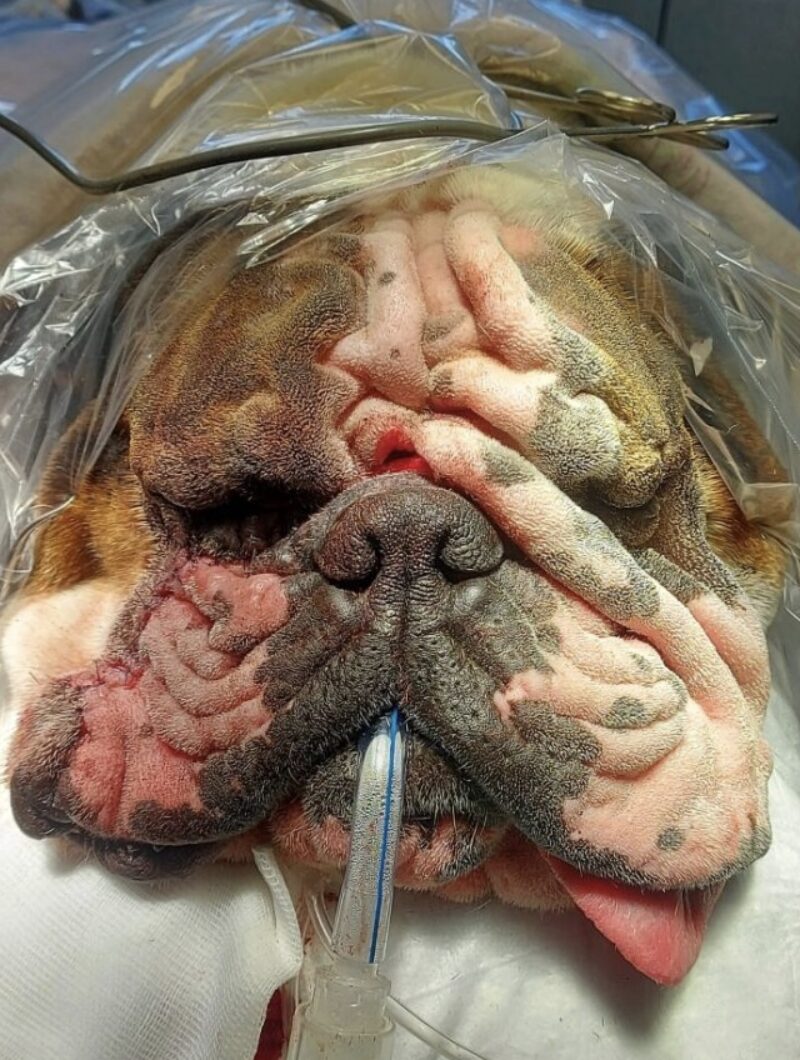 Bildschirmfoto 2025 09 21 um 09 27 19