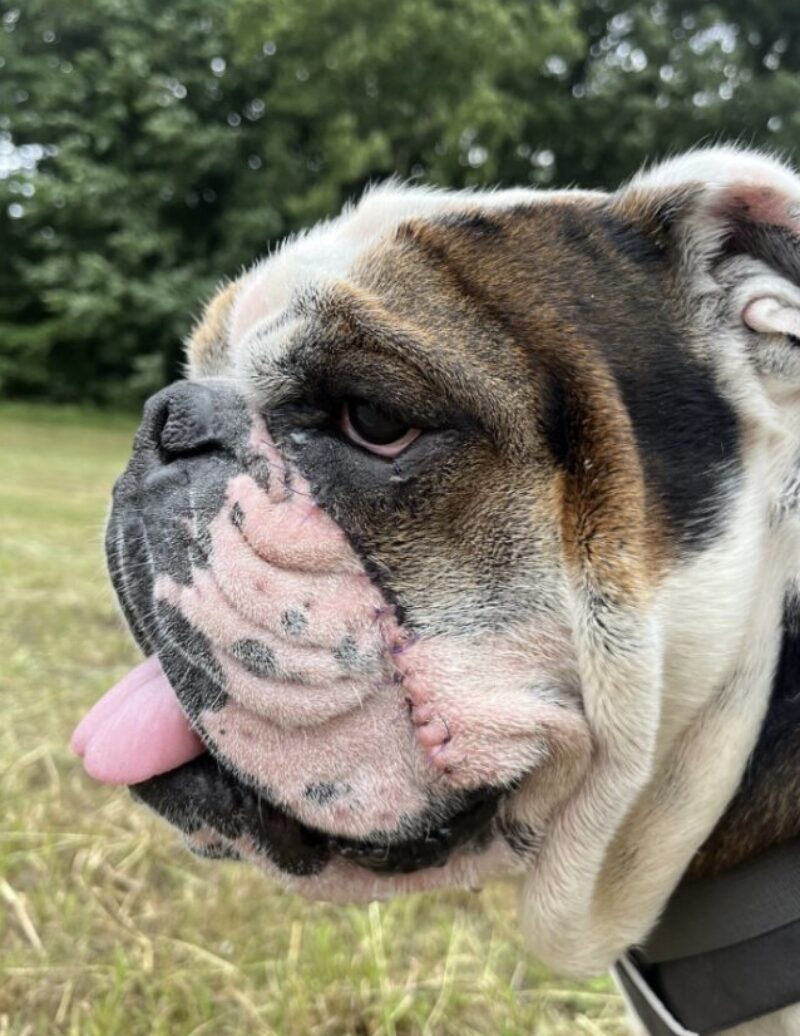 Bildschirmfoto 2025 09 21 um 09 30 58