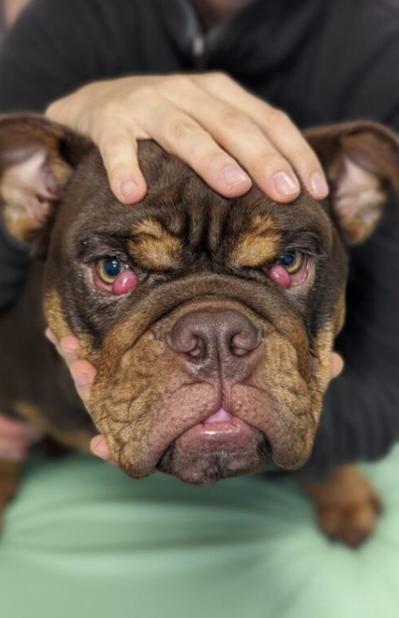 Bildschirmfoto 2025 09 21 um 09 32 19