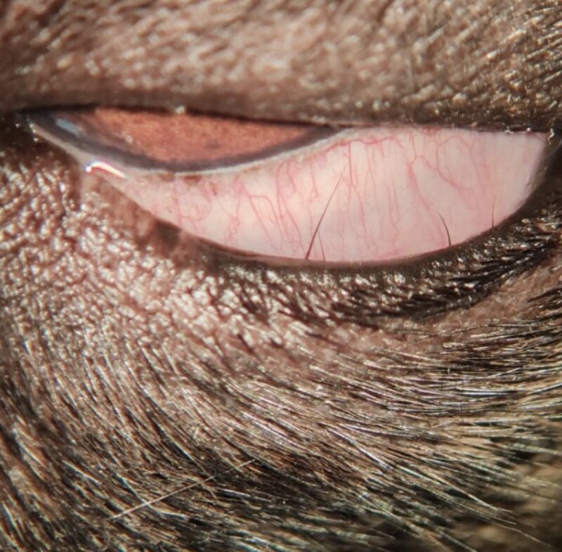 Bildschirmfoto 2025 09 21 um 10 19 33