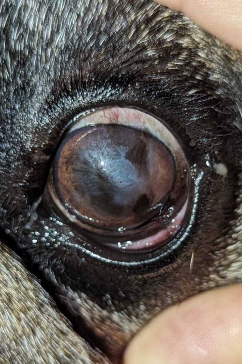 Bildschirmfoto 2025 09 21 um 10 20 52