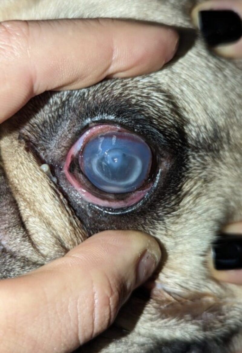 Bildschirmfoto 2025 09 21 um 10 22 44