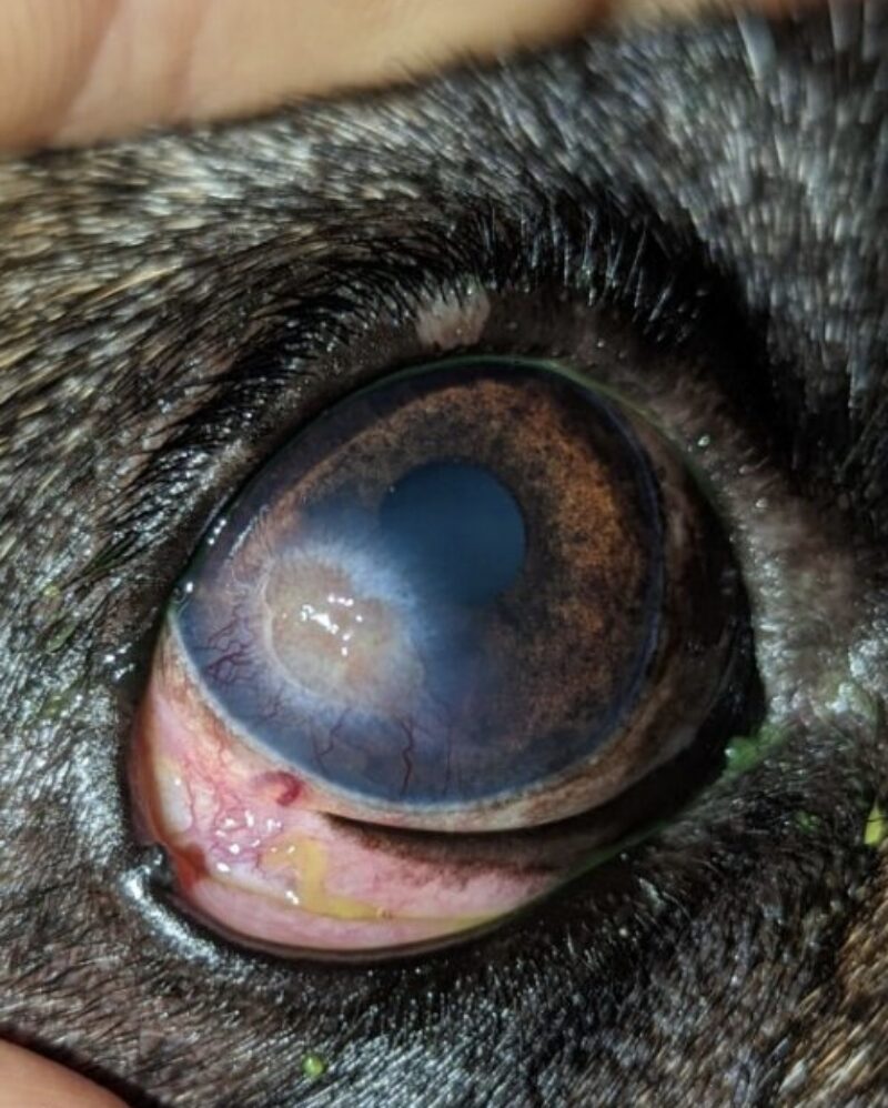 Bildschirmfoto 2025 09 21 um 10 24 43