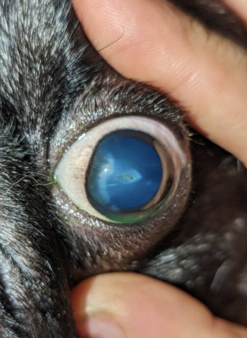 Bildschirmfoto 2025 09 21 um 10 26 33