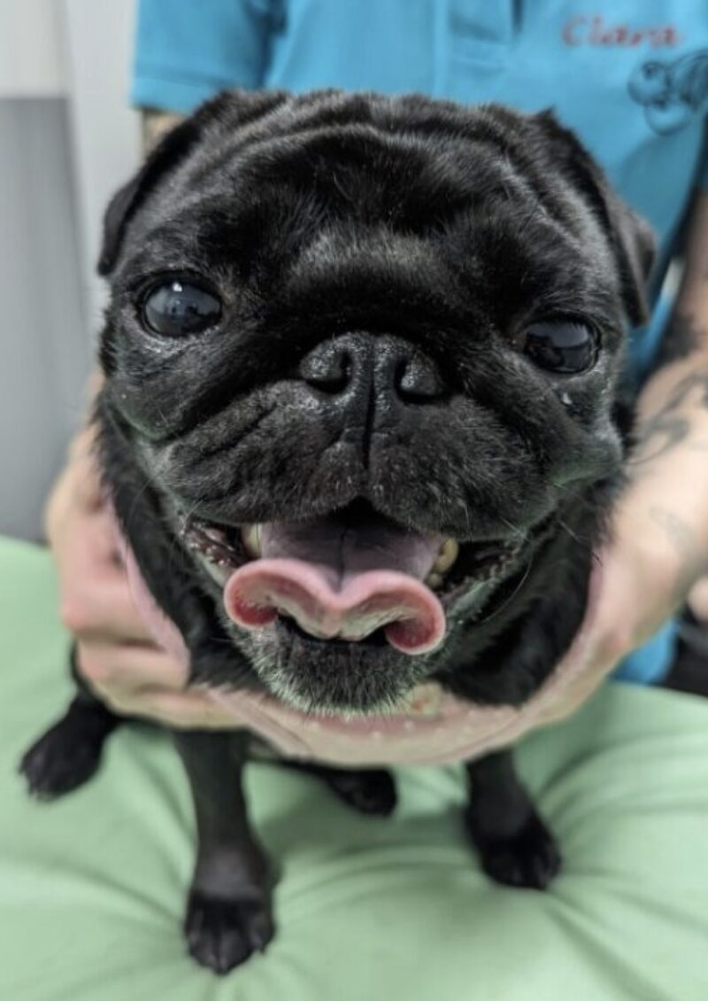 Bildschirmfoto 2025 09 21 um 10 27 49