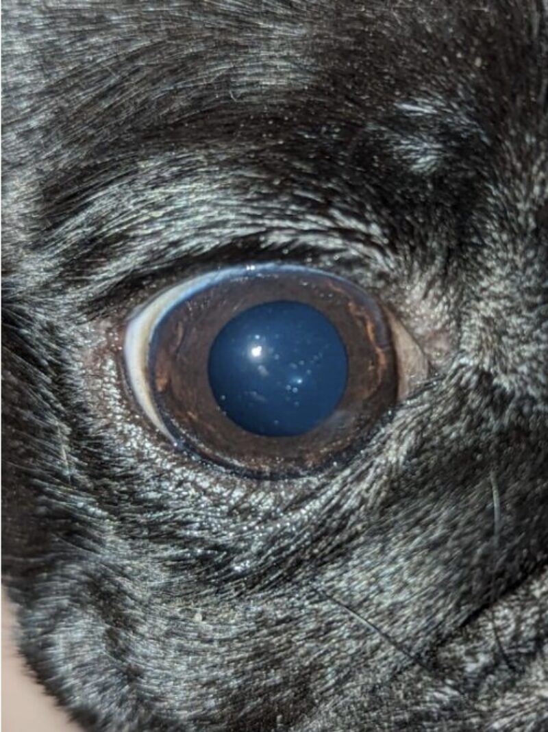 Bildschirmfoto 2025 09 21 um 10 29 22