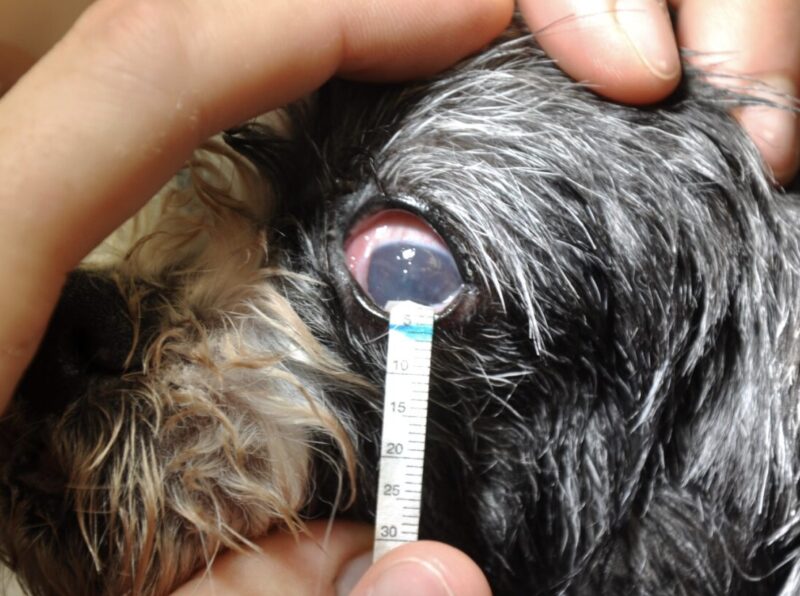 Bildschirmfoto 2025 09 21 um 10 31 42