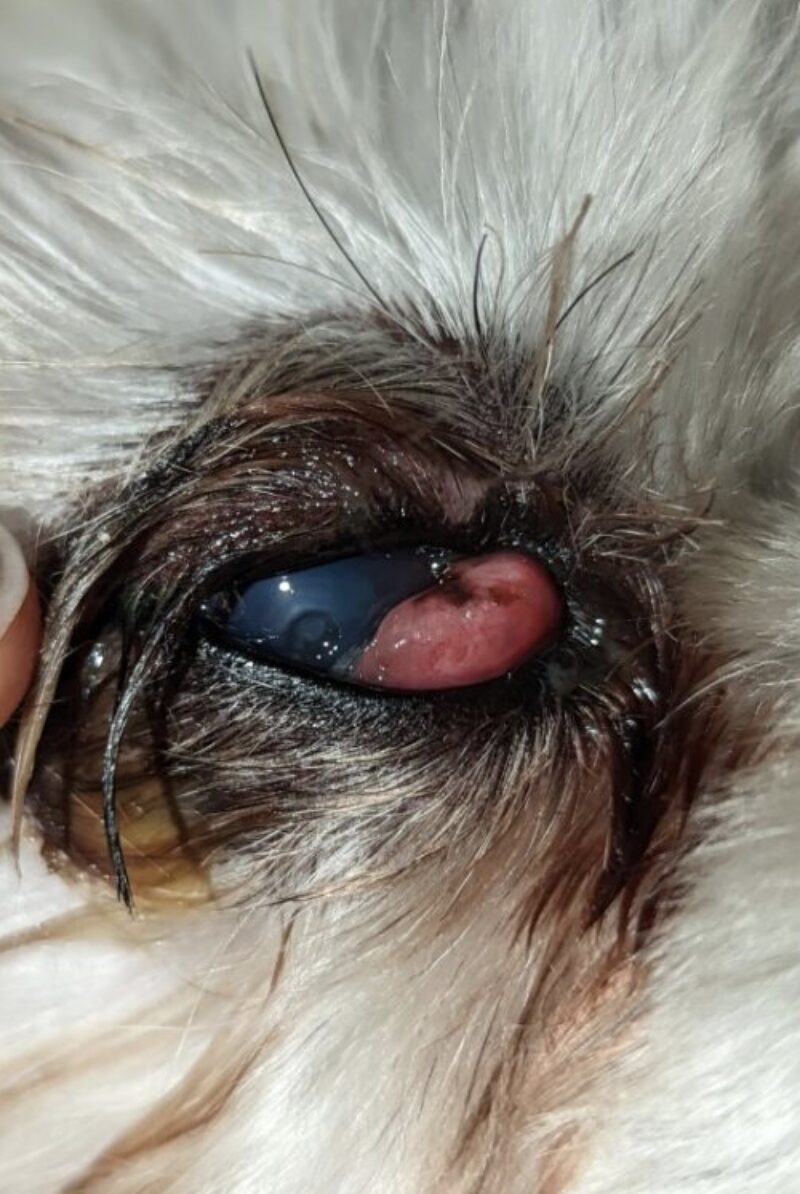 Bildschirmfoto 2025 09 21 um 10 34 26