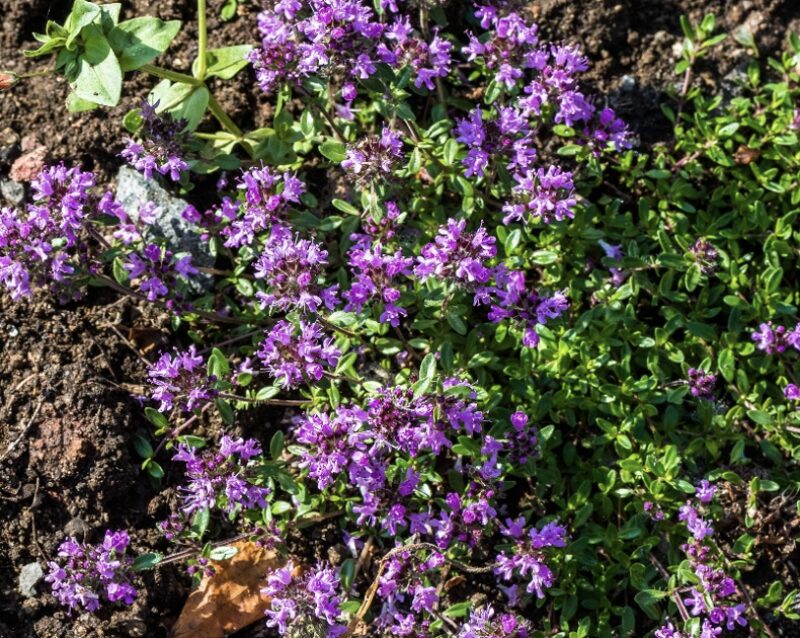 Bildschirmfoto 2025 09 22 um 13 23 47