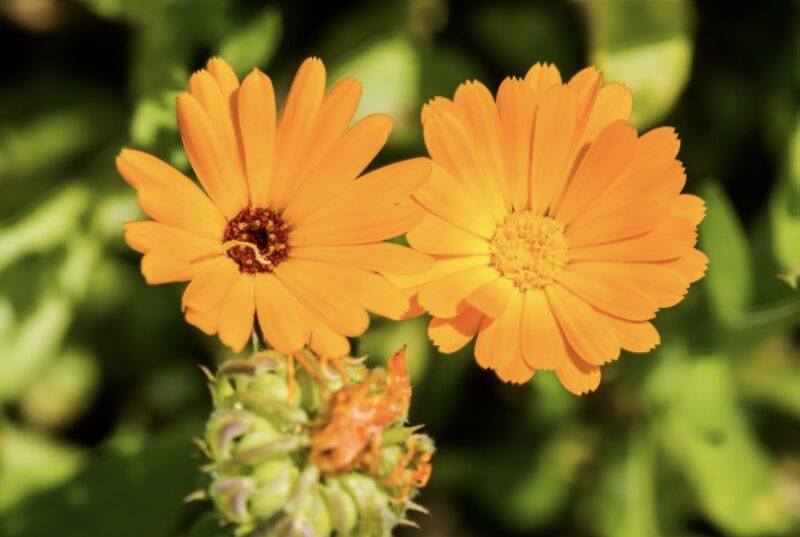 Bildschirmfoto 2025 09 22 um 13 24 47