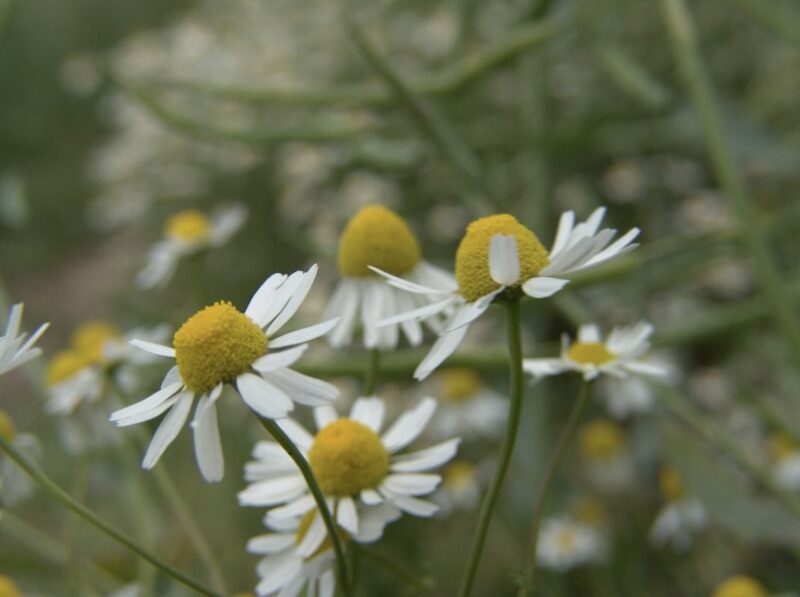 Bildschirmfoto 2025 09 22 um 13 25 15