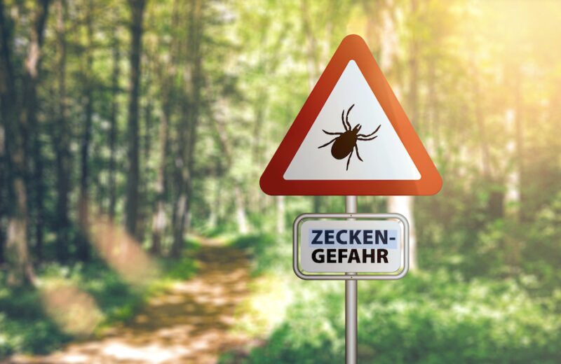 Bildschirmfoto 2025 09 22 um 14 49 38