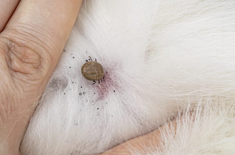 Bildschirmfoto 2025 09 22 um 14 51 37