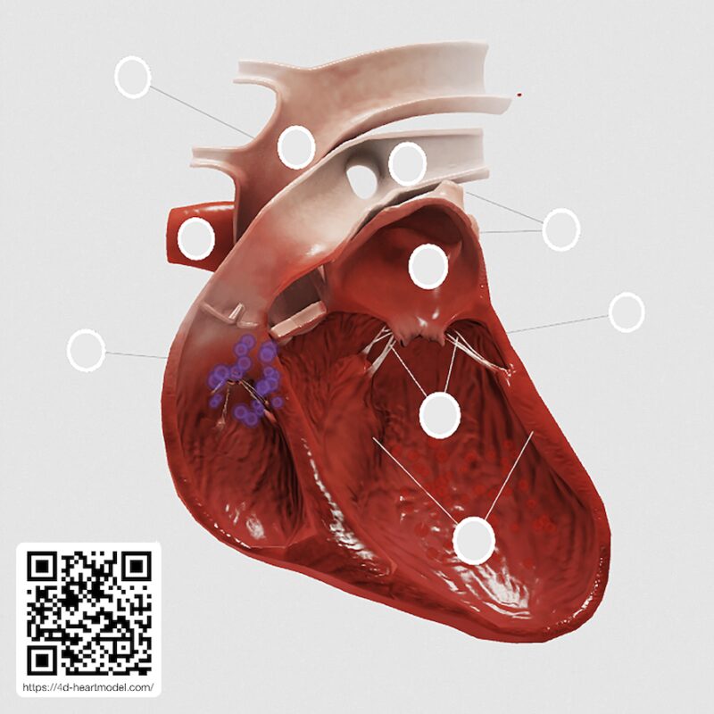 Bildschirmfoto 2025 09 22 um 16 31 29