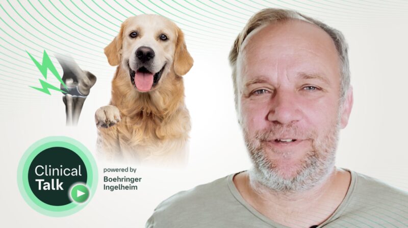 Bildschirmfoto 2025 09 22 um 17 57 12