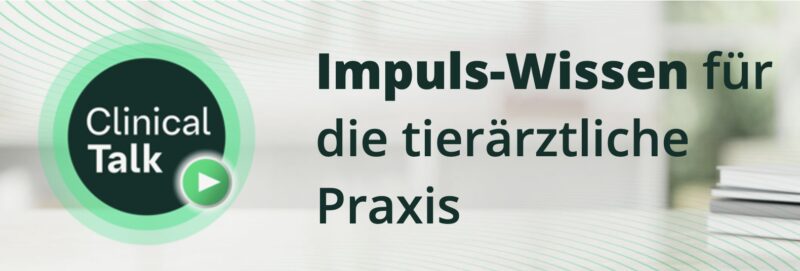 Bildschirmfoto 2025 09 22 um 18 18 18