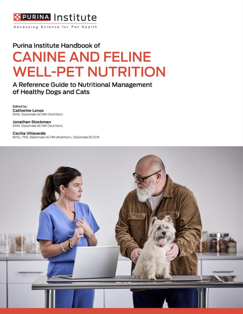 Bildschirmfoto 2025 09 23 um 11 17 05