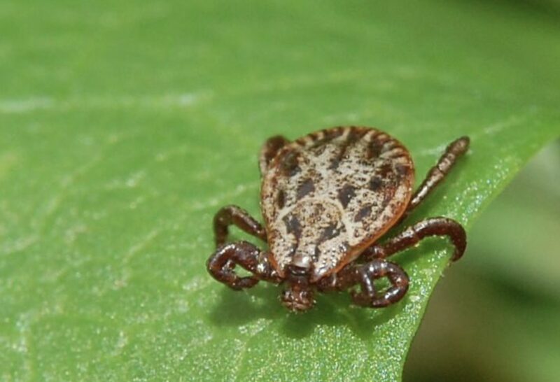 Bildschirmfoto 2025 09 29 um 07 45 44