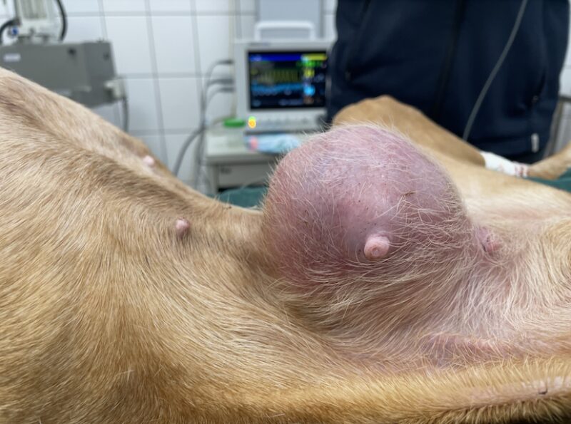 Bildschirmfoto 2025 10 01 um 13 34 07