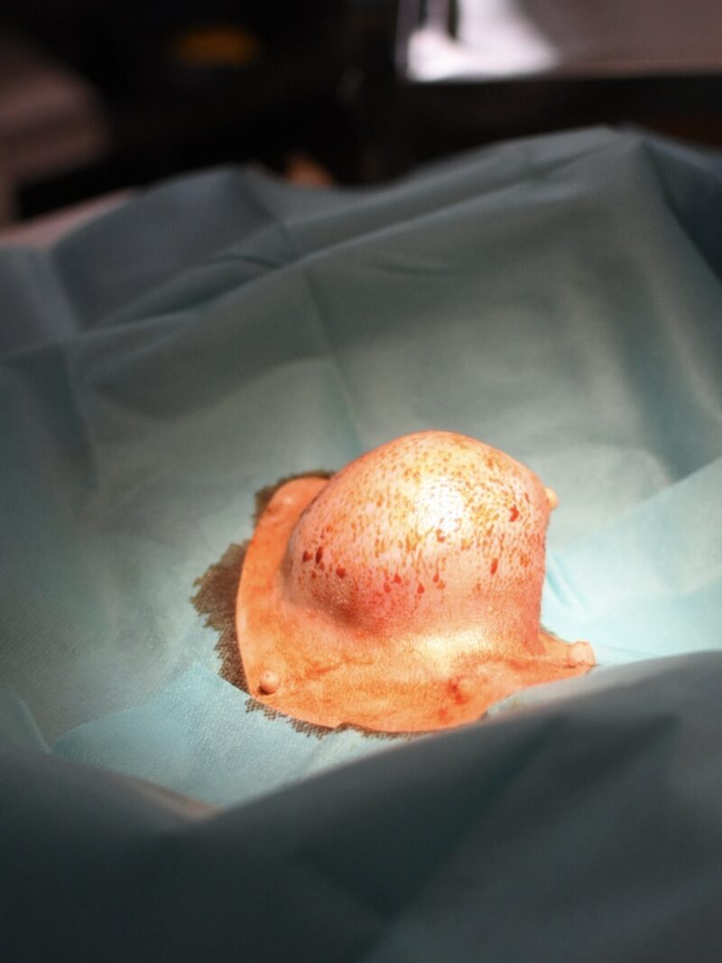 Bildschirmfoto 2025 10 01 um 13 34 29