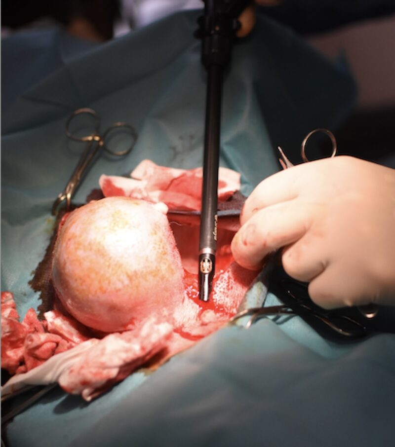 Bildschirmfoto 2025 10 01 um 13 35 14