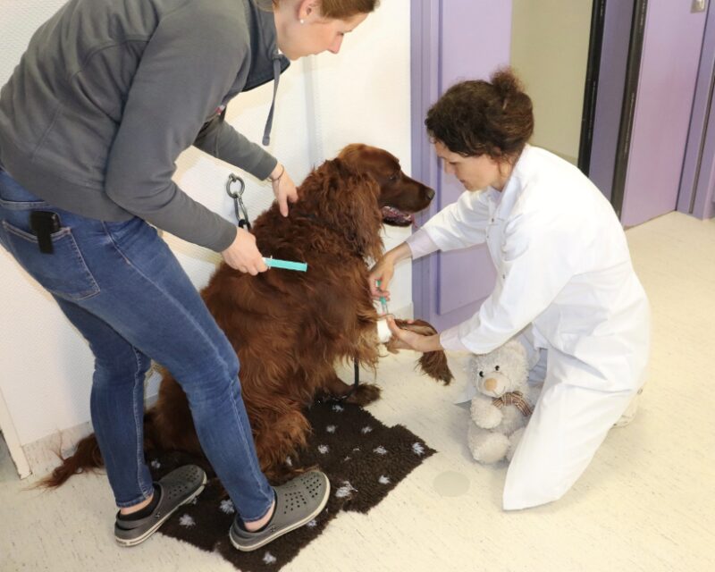 Bildschirmfoto 2025 10 01 um 15 44 07