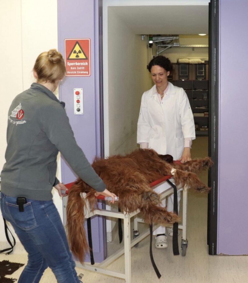 Bildschirmfoto 2025 10 01 um 15 47 09