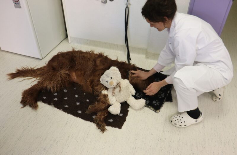 Bildschirmfoto 2025 10 01 um 15 55 33