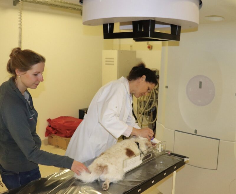 Bildschirmfoto 2025 10 01 um 15 56 57