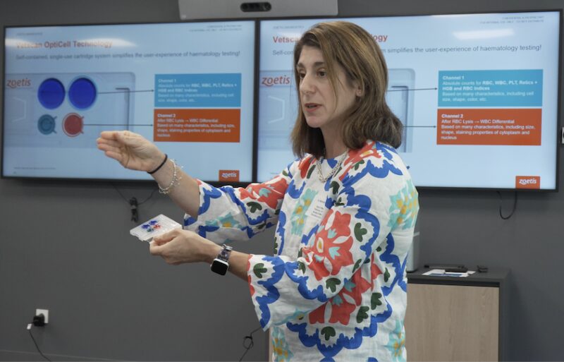 Bildschirmfoto 2025 10 06 um 14 08 31