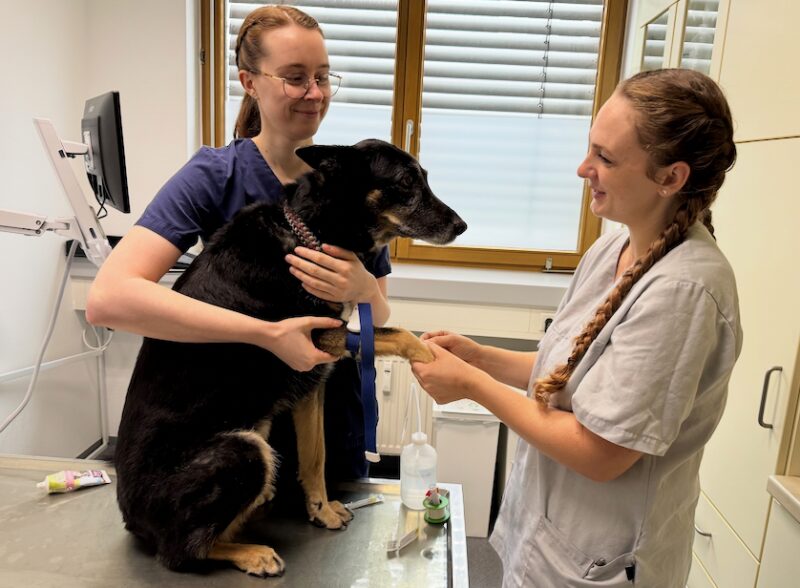 Bildschirmfoto 2025 10 13 um 10 34 56