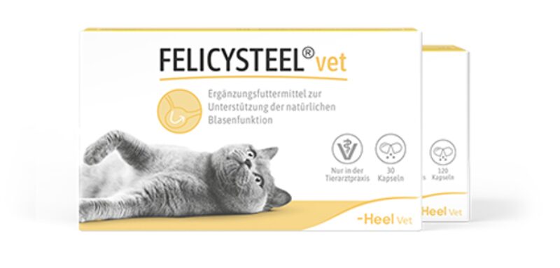 Bildschirmfoto 2025 10 16 um 18 15 49