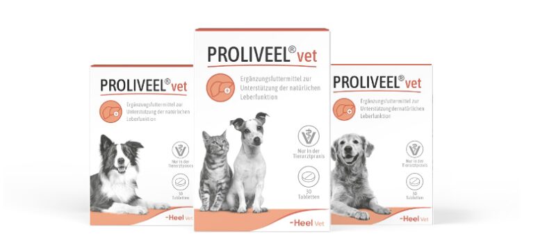 Bildschirmfoto 2025 10 16 um 18 16 34