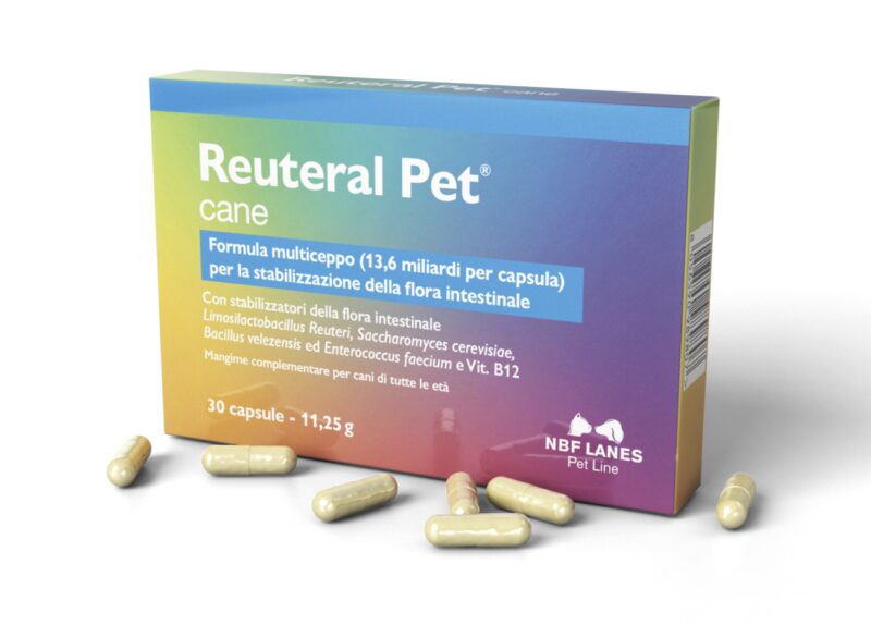 Bildschirmfoto 2025 10 19 um 15 53 00