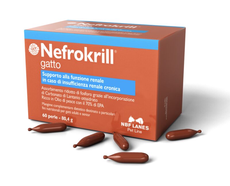 Bildschirmfoto 2025 10 19 um 15 53 16