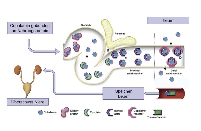 Bildschirmfoto 2025 10 21 um 10 06 14