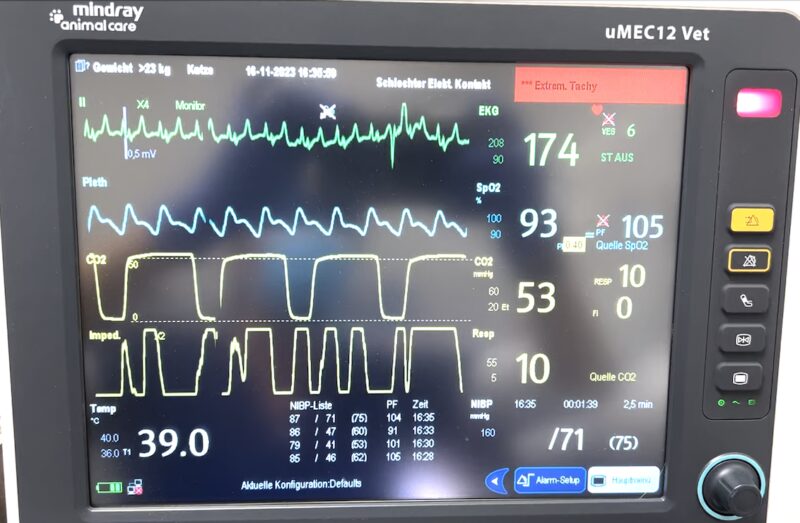 Bildschirmfoto 2025 10 23 um 12 19 00