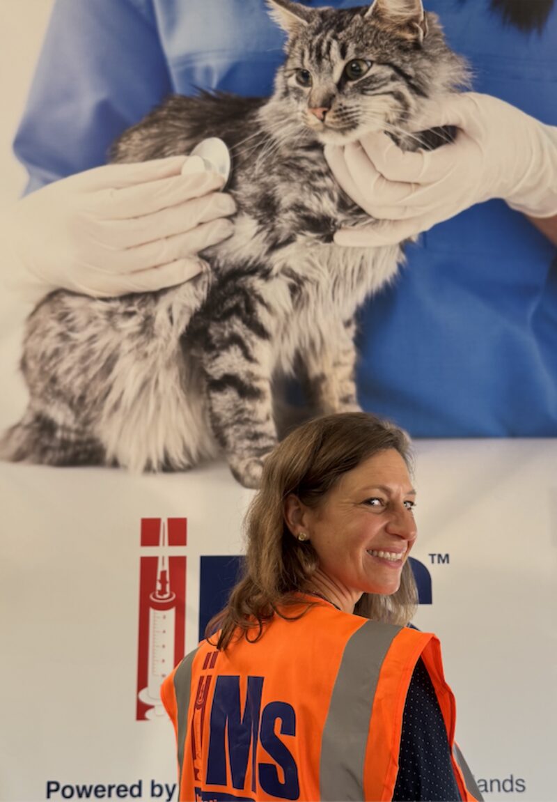 Bildschirmfoto 2025 10 23 um 14 49 28