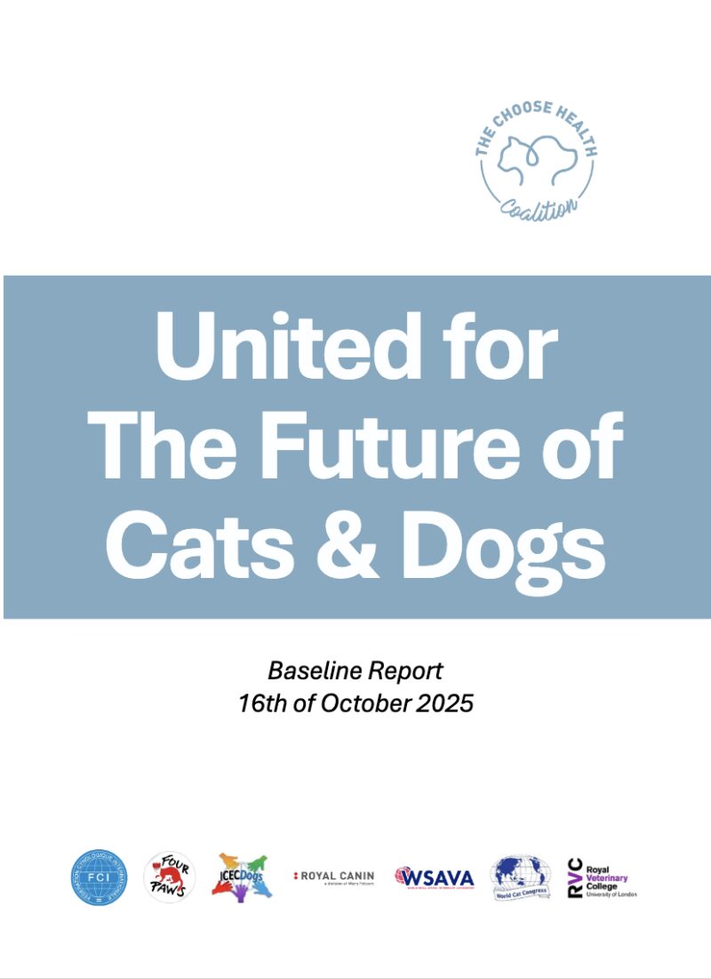 Bildschirmfoto 2025 10 23 um 15 42 37