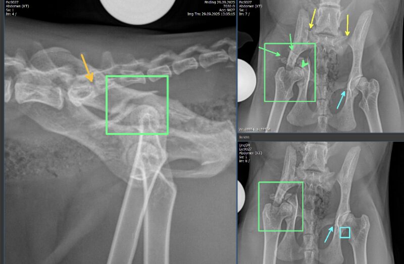 Bildschirmfoto 2025 10 25 um 18 13 45