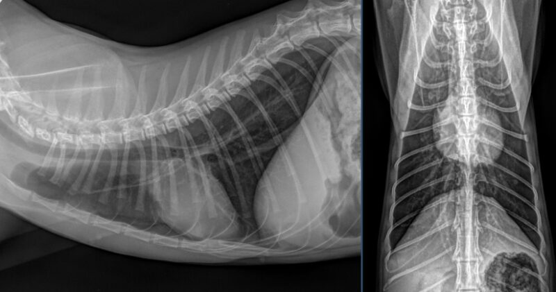 Bildschirmfoto 2025 10 25 um 18 17 23