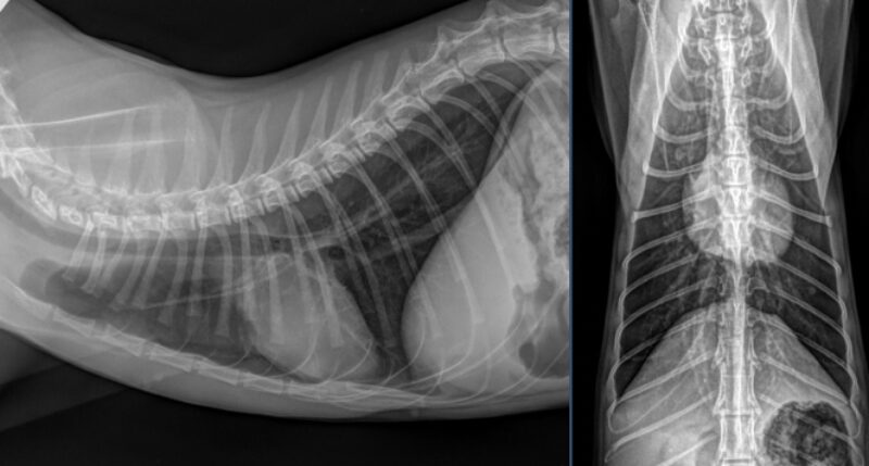 Bildschirmfoto 2025 10 25 um 18 20 00