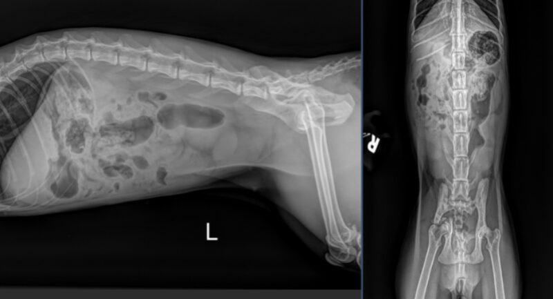 Bildschirmfoto 2025 10 25 um 18 20 40