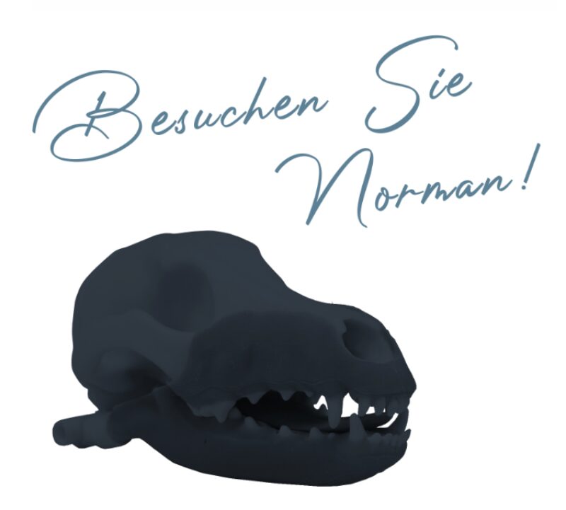 Bildschirmfoto 2025 10 25 um 19 01 21