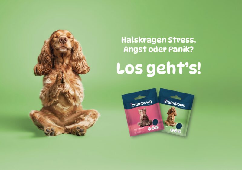 Bildschirmfoto 2025 10 27 um 14 43 06