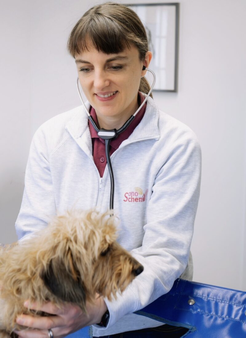 Bildschirmfoto 2025 10 27 um 17 30 26