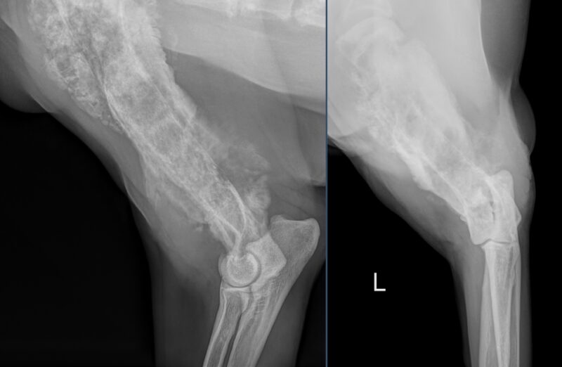 Bildschirmfoto 2025 11 11 um 12 25 30