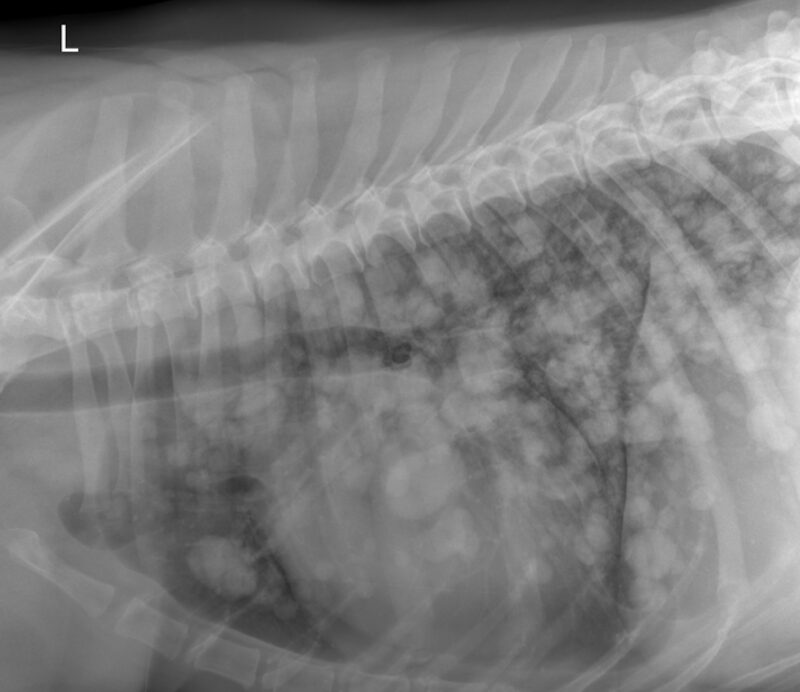 Bildschirmfoto 2025 11 11 um 12 26 07