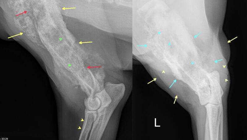 Bildschirmfoto 2025 11 11 um 12 27 10