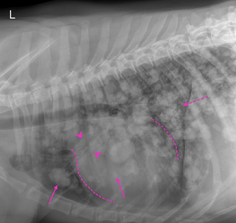 Bildschirmfoto 2025 11 11 um 12 28 03